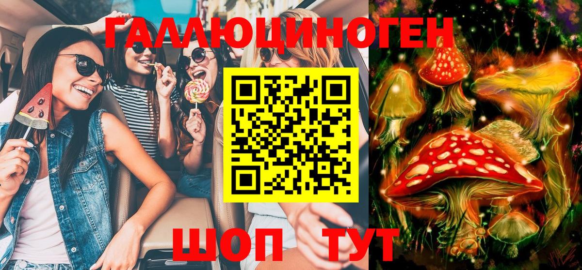 Псилоцибиновые грибы мицелий Сальск
