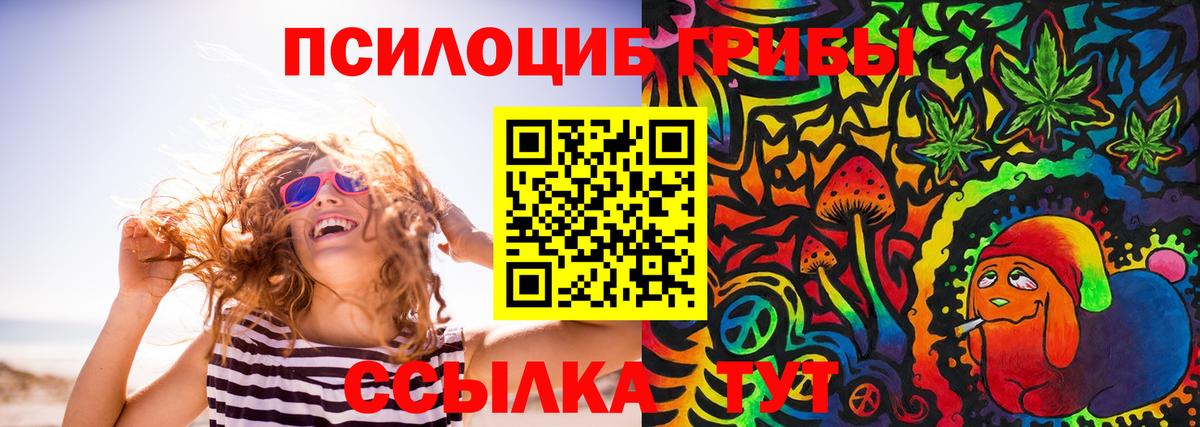 Псилоцибиновые грибы GOLDEN TEACHER  Вход с VPN  Сальск 